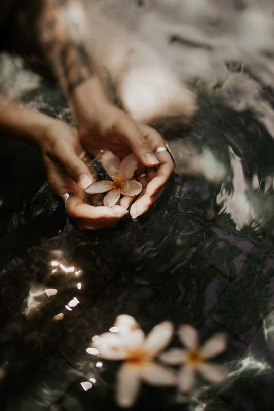 Why Customised Herbal Medicine Is the Future of Natural Wellness