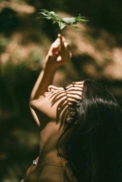 Custom Herbal Medicine